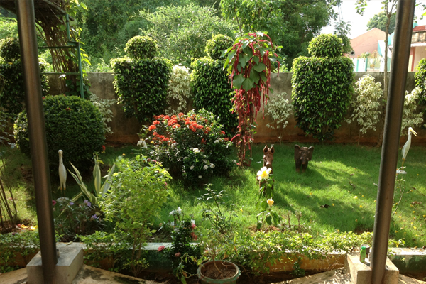 landscaping in chennai, landscape designers in chennai, garden maintenance in chennai, garden management in chennai, terrace gardens in chennai, 